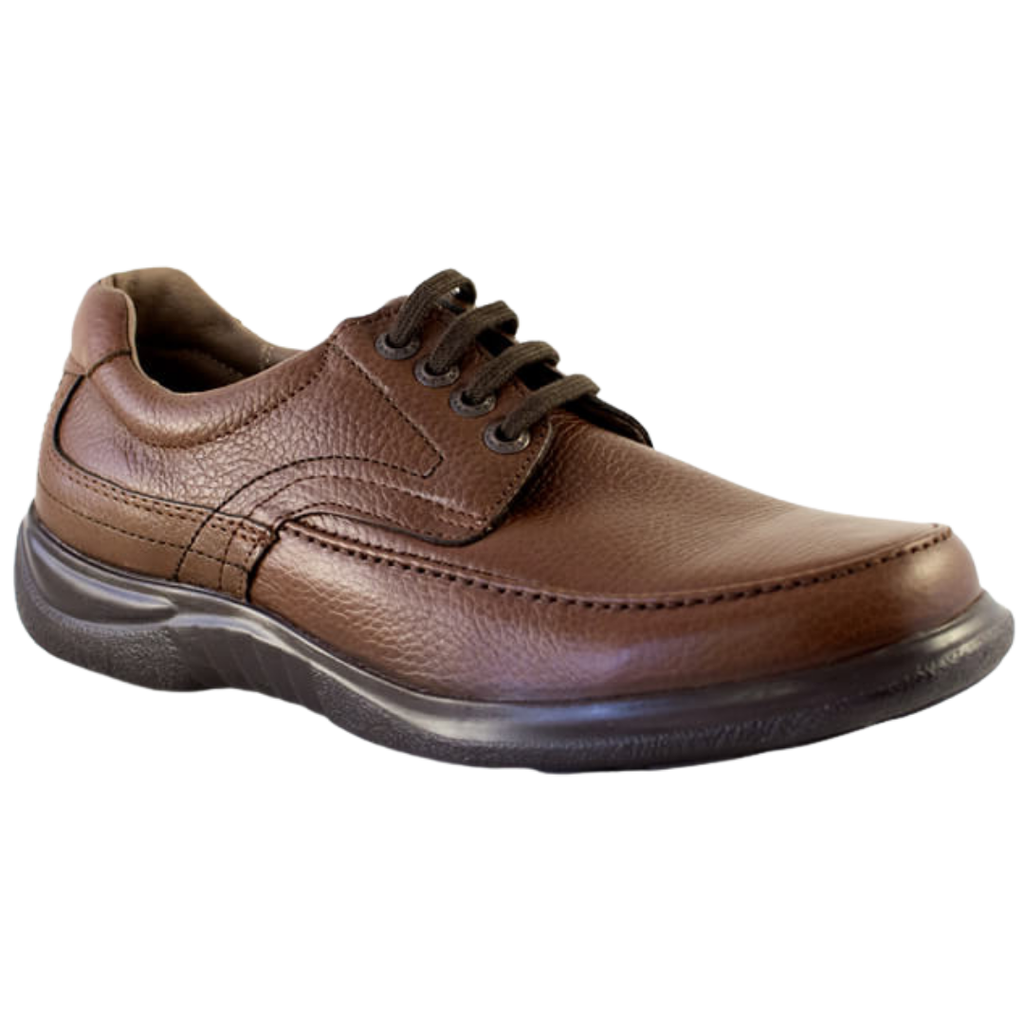 5005 SHEDRON.png